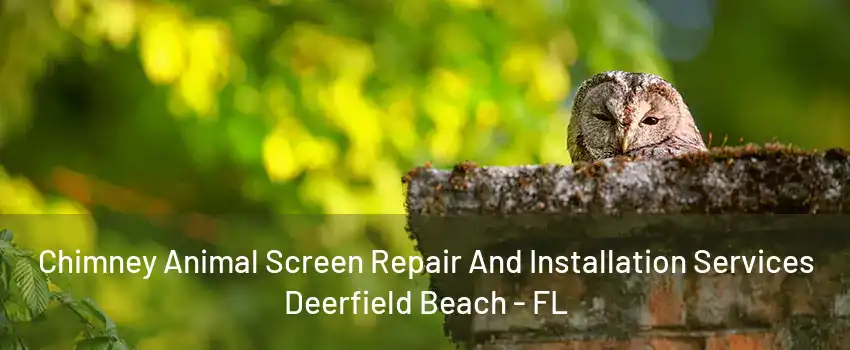 Chimney Animal Screen Repair And Installation Services Deerfield Beach - FL