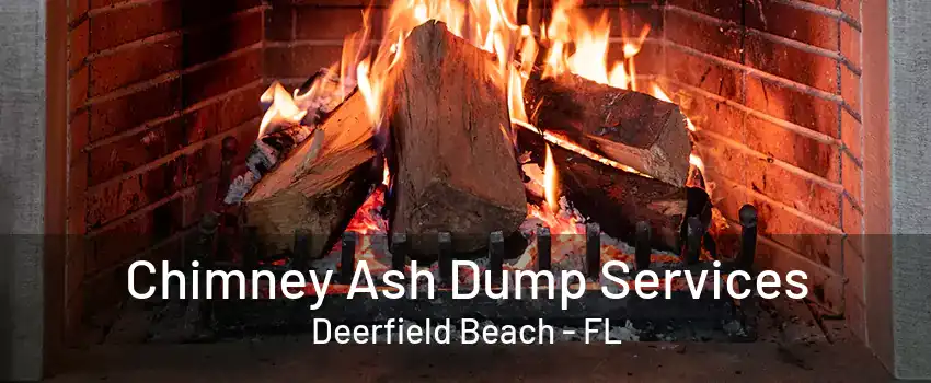 Chimney Ash Dump Services Deerfield Beach - FL