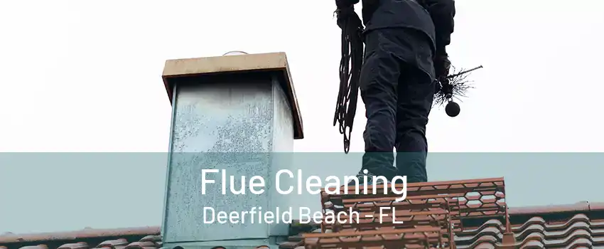 Flue Cleaning Deerfield Beach - FL