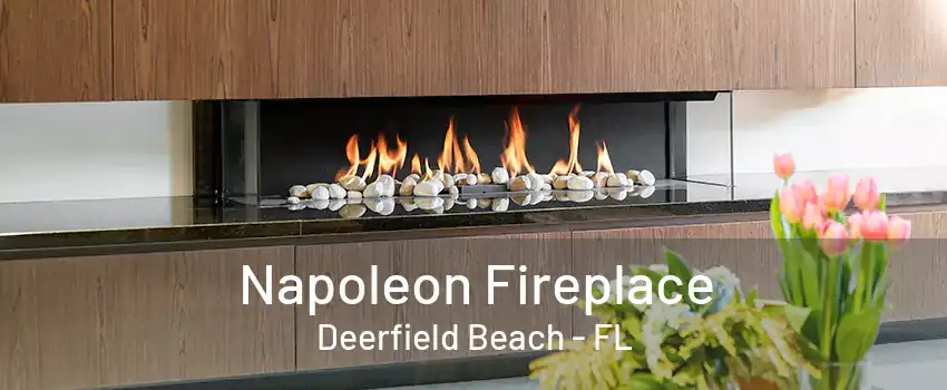 Napoleon Fireplace Deerfield Beach - FL